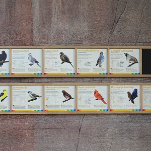 Bird-signs Burgers Desert