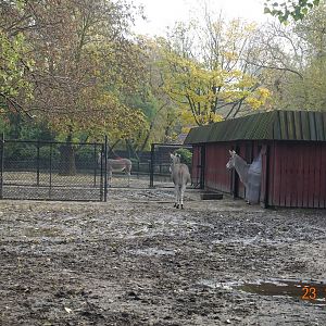 Warsaw Zoo 23.10.16