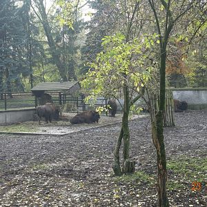 Warsaw Zoo 23.10.16
