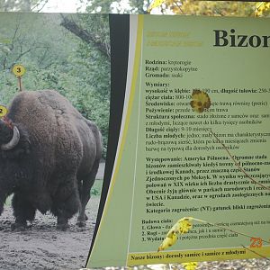Warsaw Zoo 23.10.16