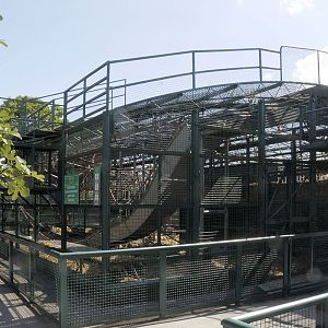 Howletts Gorillarium 2008