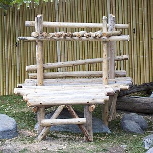 New Climbing Structure in Giant Panda Exhibit