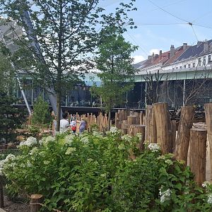 new savanna exhibit restaurant view