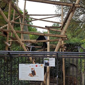 red panda enclosure