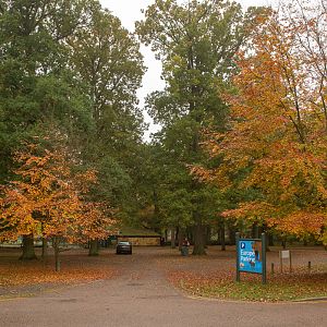 'Europe' parking area : Whipsnade : 04 Nov 2016