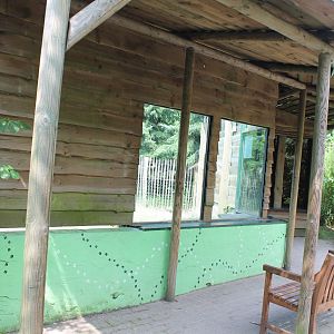 Viewing-place Parma wallaby