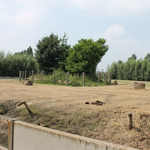 Elephant-deer-monkey enclosure