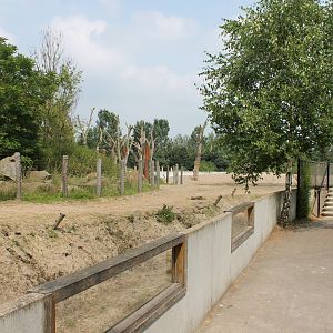 Elephant-deer-monkey enclosure