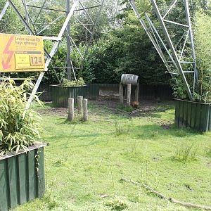 Pylon in Panda and Muntjac enclosure