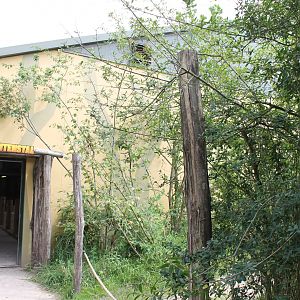 Entrance Elephant-stable