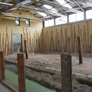 Indoor Elephant enclosure