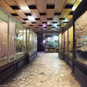 View of Crocodilian/Large Snake and Lizard Enclosures  - Wroclaw Zoo Terrarium