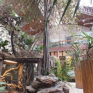 View of Part of the Terrarium - Wroclaw Zoo Terrarium