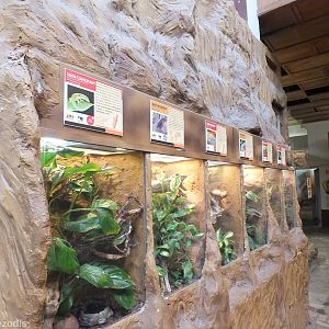 One of Three Rows of Small Terrariums for Geckos and Similar - Wroclaw Zoo Terrarium