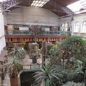 View of The Terrarium from Above - Wroclaw Zoo Terrarium