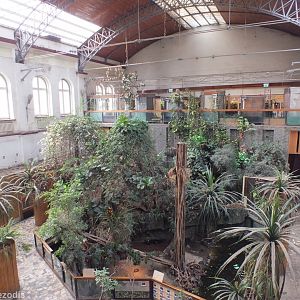 View of the Terrarium - Wroclaw Zoo Terrarium