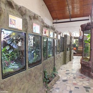 Part of the Amphibian Section - Wroclaw Zoo Terrarium