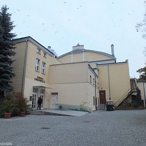 Komodo Dragon Entrance to the Terrarium - Wroclaw Zoo Terrarium