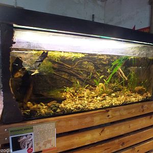 Elephant Trunk Snake Enclosure - Wroclaw Zoo Terrarium