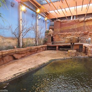 View of Land Area and part of Water Area of Hippo Enclosure - Afrykarium