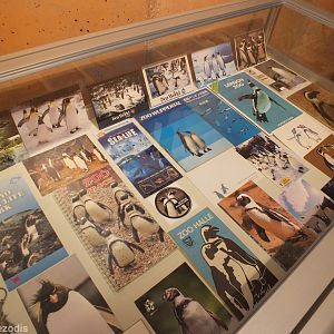 An Assortment of Zoo Guides with Penguin Covers - Afrykarium