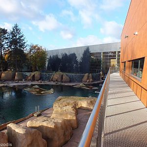 Raised Walkway for Penguins - Afrykarium