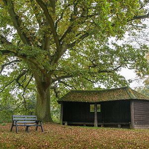 Shelter : Whipsnade : 04 Nov 2016