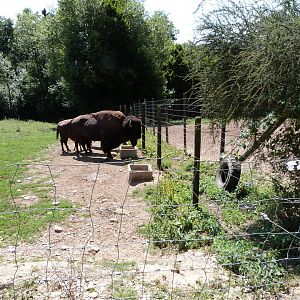 Parc animalier de Bouillon