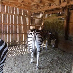 Parc animalier de Bouillon