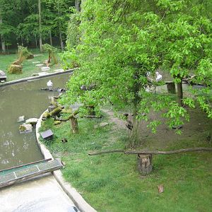Parc Merveilleux - African pond