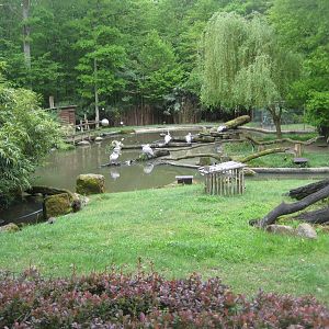 Parc Merveilleux - African pond