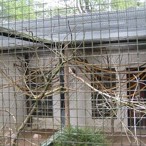 Parc Merveilleux - guira cuckoo and elegant crested tinamou aviary