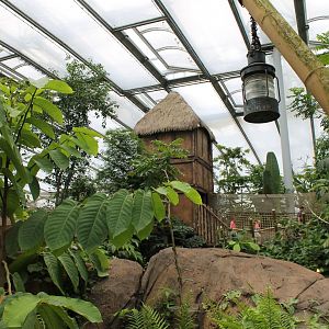 Viewing point in the Tropical Hall