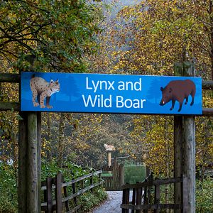 Path to lynx / wild boar exhibits : Whipsnade : 04 Nov 2016