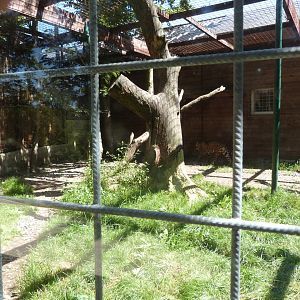 Parc animalier de Bouillon