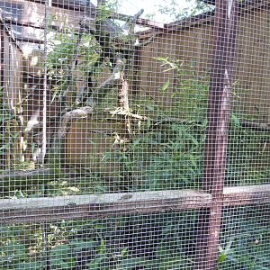 Parc animalier de Bouillon