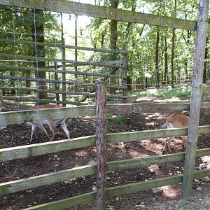 Parc animalier de Bouillon
