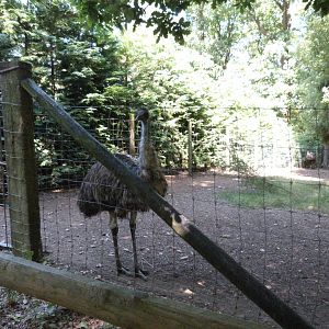 Parc animalier de Bouillon