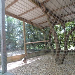 Parc animalier de Bouillon