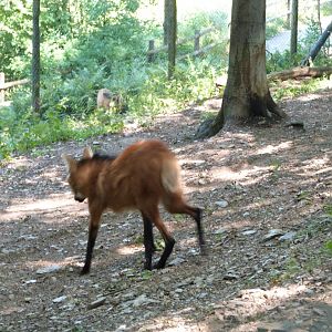 Parc animalier de Bouillon