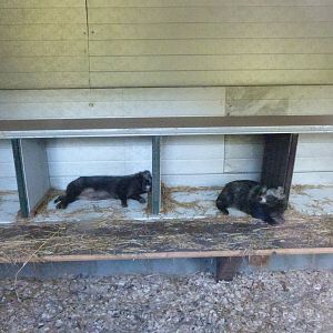 Parc animalier de Bouillon