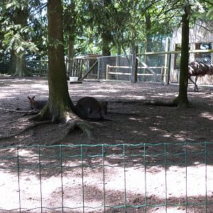 Parc animalier de Bouillon