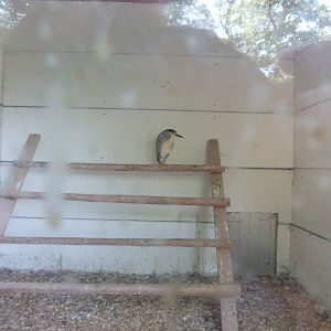 Parc animalier de Bouillon