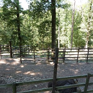Parc animalier de Bouillon