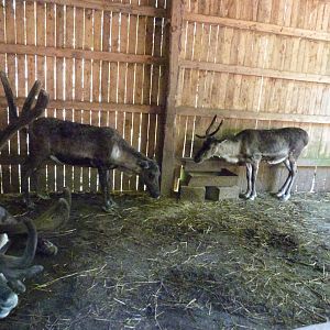 Parc animalier de Bouillon