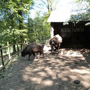 Parc animalier de Bouillon