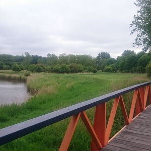 View into the Walk-through enclosure