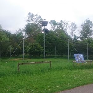 DSC_0512 Stork-nest on holding-cage