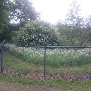 Part Otter enclosure