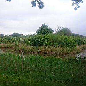 Beaver enclosure